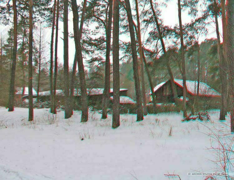 Domy w zimowym lesie- anaglif